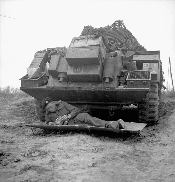 Photo of Relaxing Under a Staghound