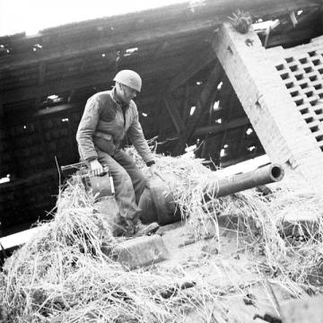 In the Hay