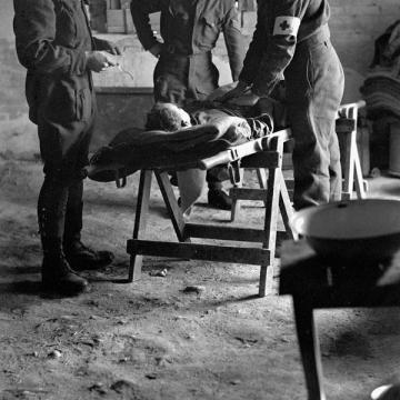 Wounded in Italy